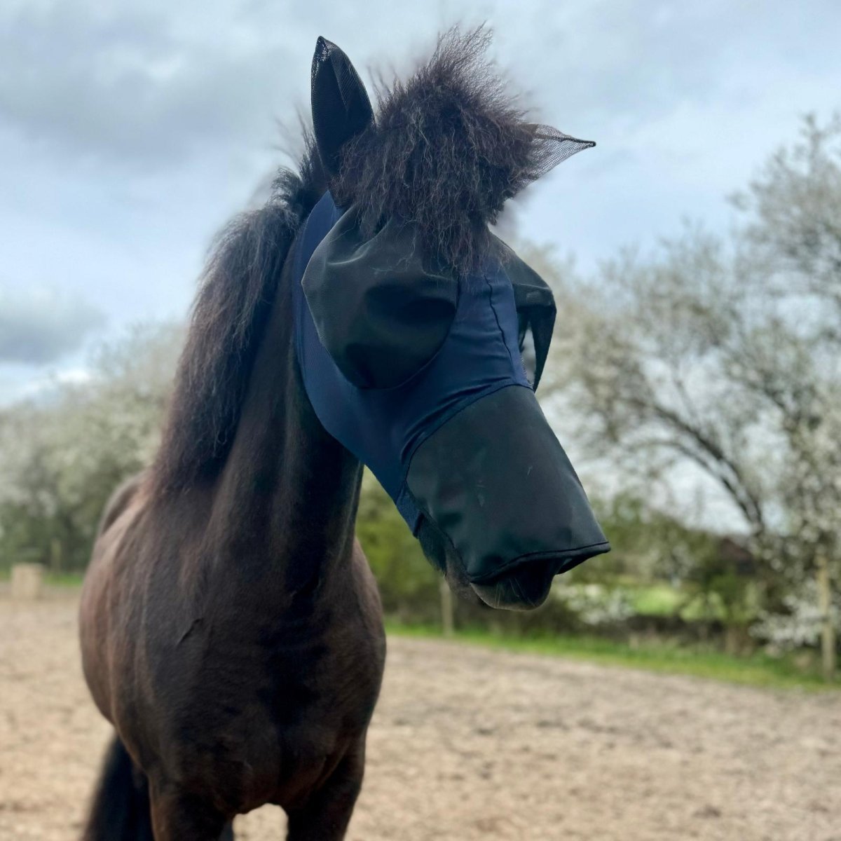 Cavalli Fluemaske m. ører & mulenet - animondo.dk - Cav2400