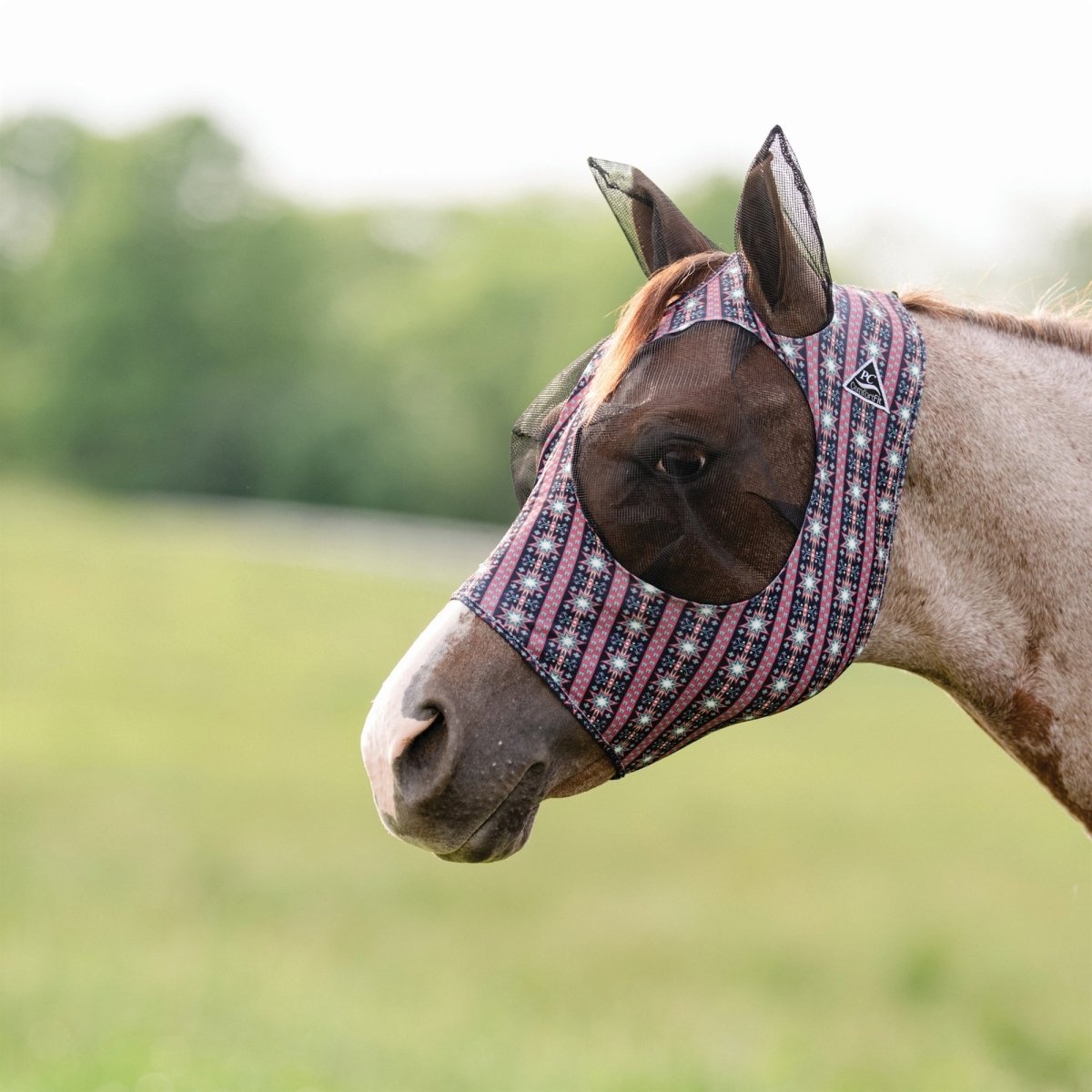 Comfort Fit Lycra Fly Mask w/ Forelock Opening | Starburst - animondo.dk - CFM100-SB