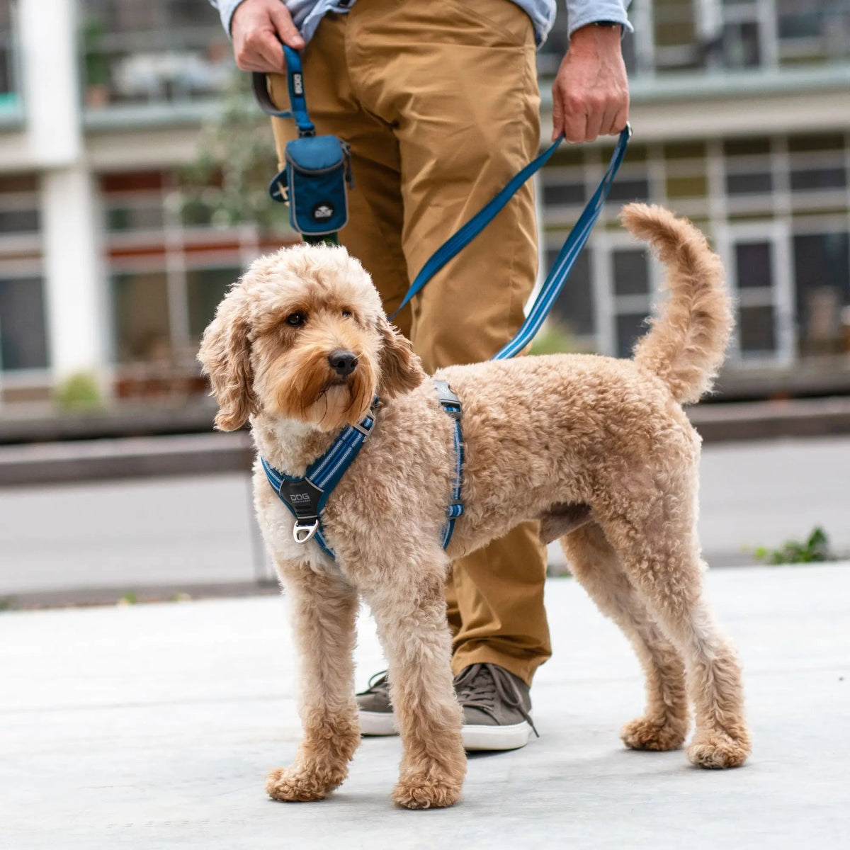 Dog Copenhagen - "Comfort Walk Air™" Sele - Blå - animondo.dk - HAR0342