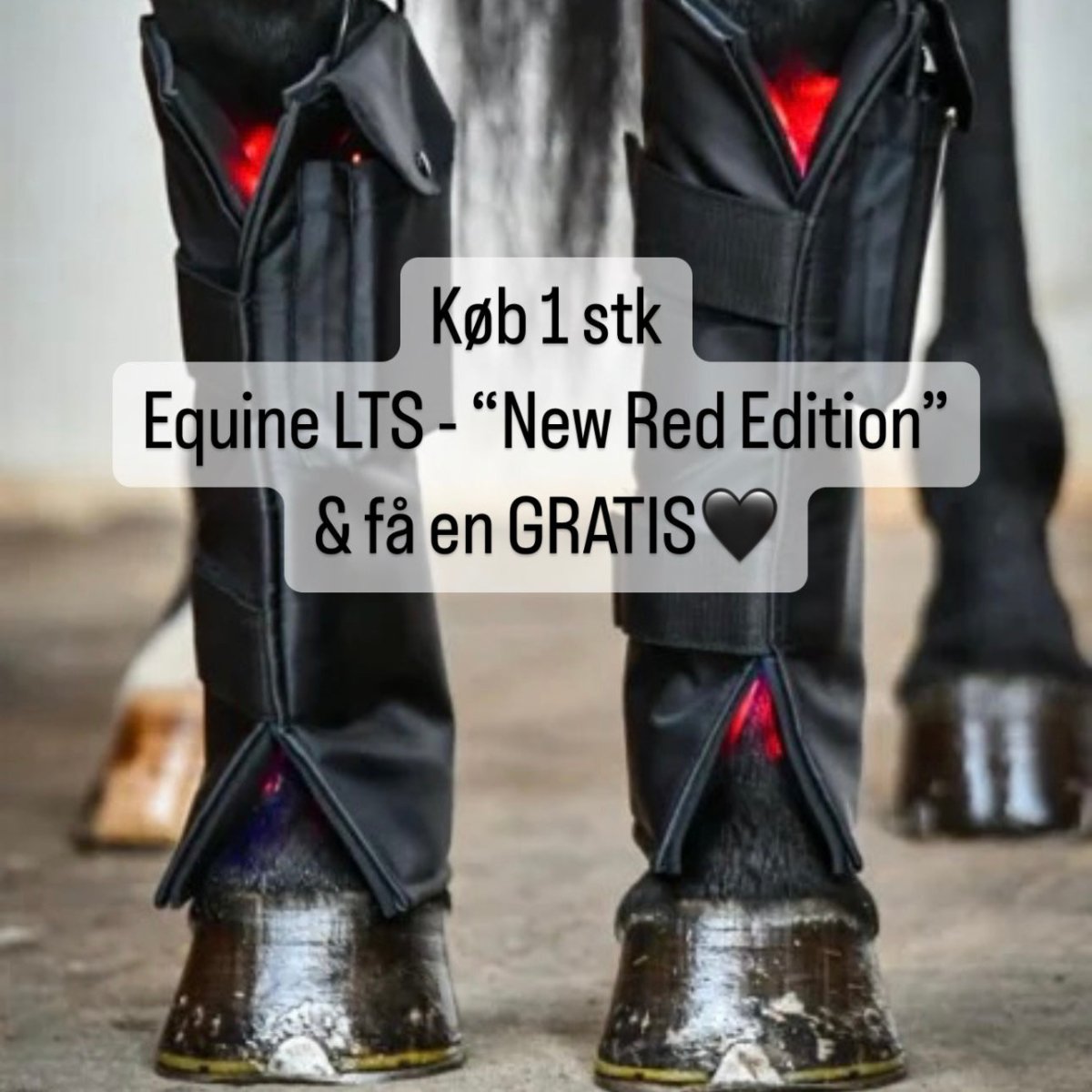 Equine LTS - New Red Edition - køb 1 & få en GRATIS! - animondo.dk - LTS - REDx2