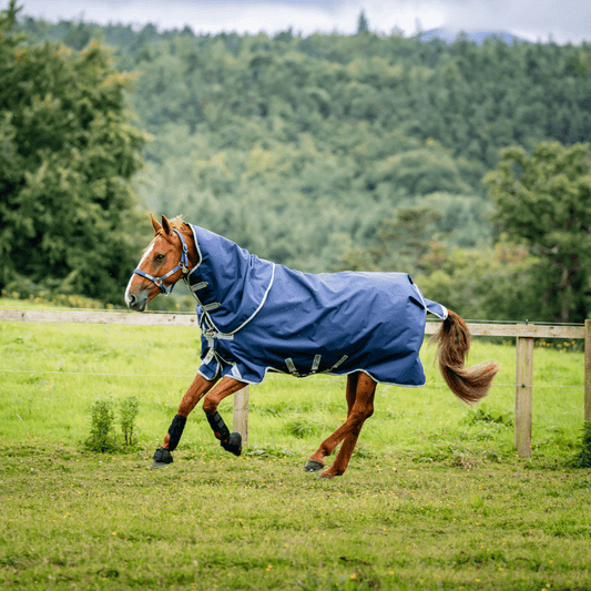 Horseware - Amigo Bravo 12 Plus Regndækken m. hals - 0 gram - Navy - animondo.dk - AARP70 - BJI0 - 45