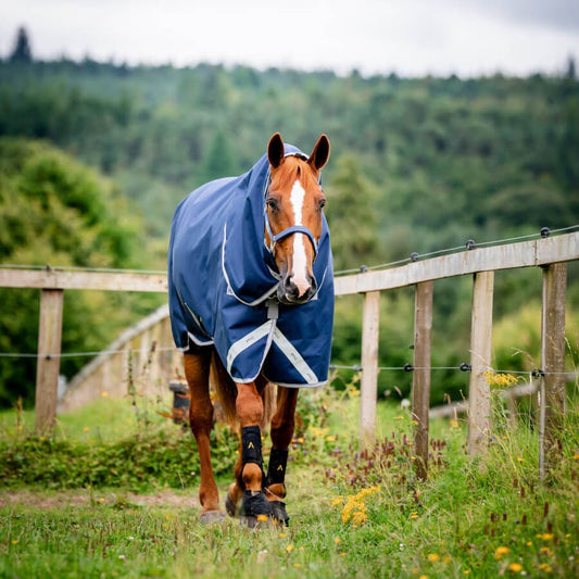 Horseware Amigo - Bravo 12 Plus Regndækken m. hals & V - Front - 100 gram - Navy - animondo.dk - AARPLF - KJI0 - 45