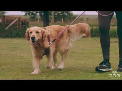 Dog Copenhagen Line - "Urban Freestyle" - Sort