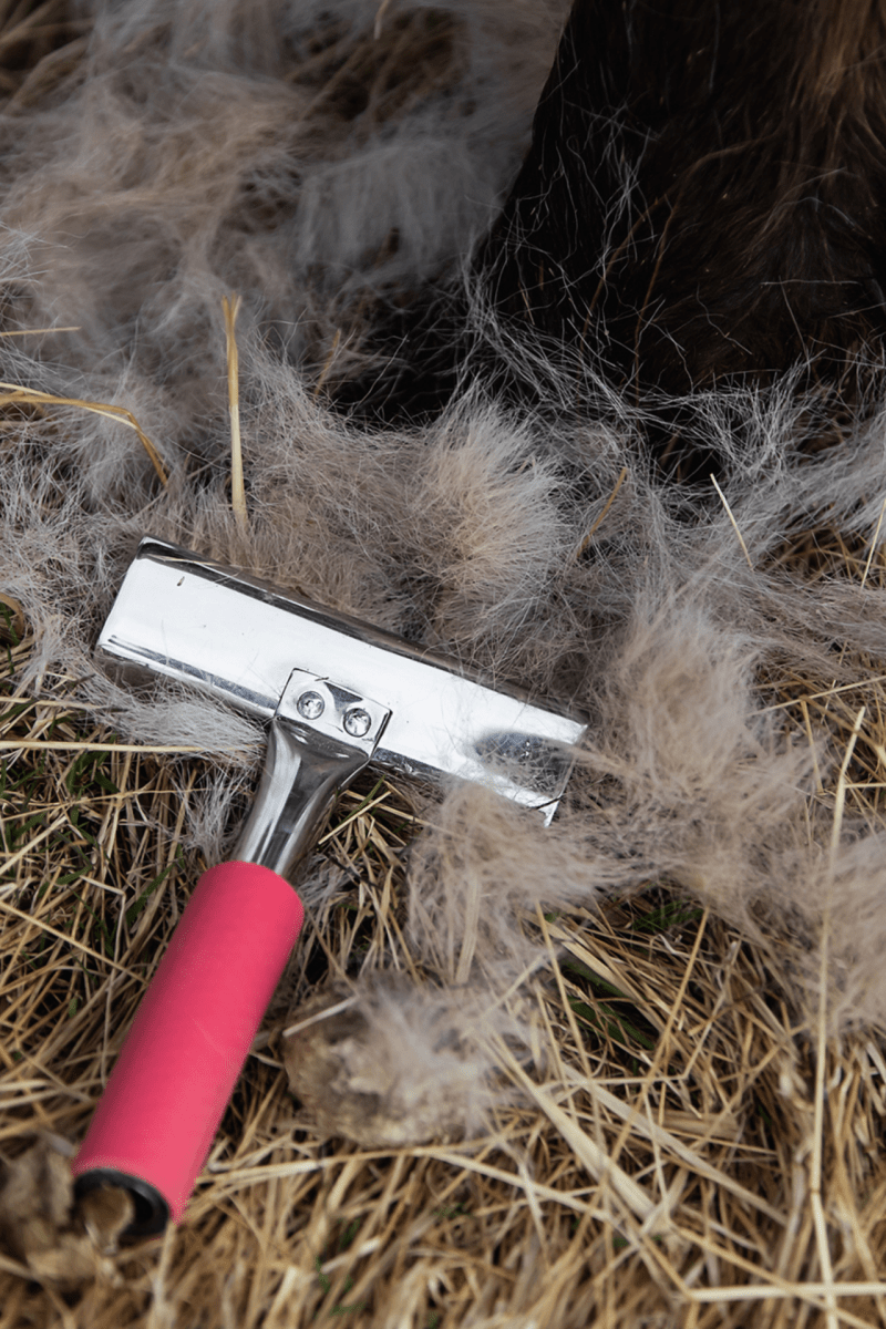 Top Reiter - Fældestrigle med gele håndtag - animondo.dk - FK - RU