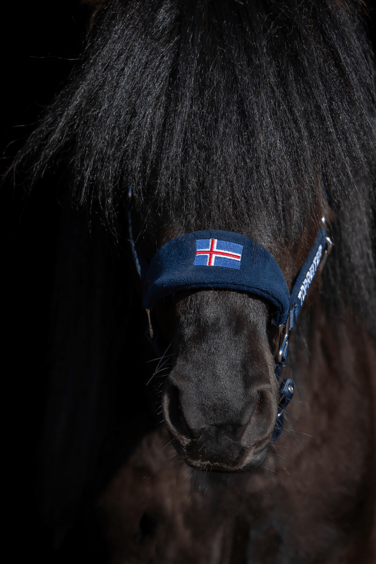 Top Reiter - "KLAKI ICELAND" Grimesæt - Sort/Blå - animondo.dk - HAL - STR - KLK - BU - ICE