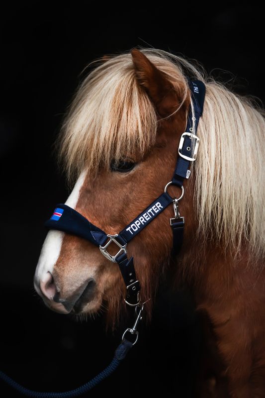 Top Reiter - "KLAKI ICELAND" Grimesæt - Sort/Blå - animondo.dk - HAL - STR - KLK - BU - ICE
