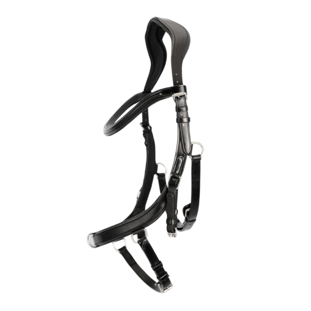 Top Reiter - Træningstrense - animondo.dk - LON - ABT