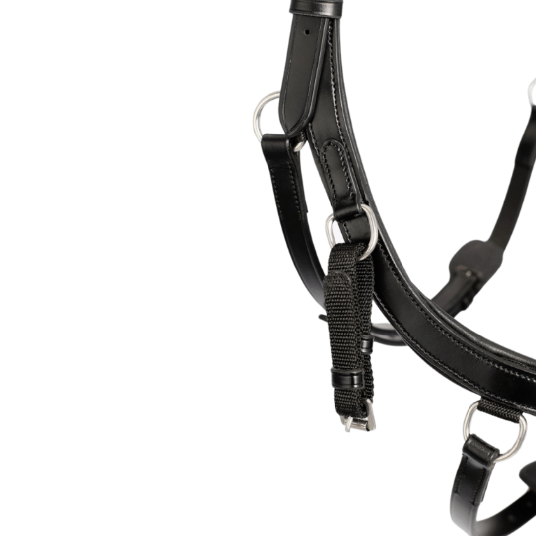 Top Reiter - Træningstrense - animondo.dk - LON - ABT