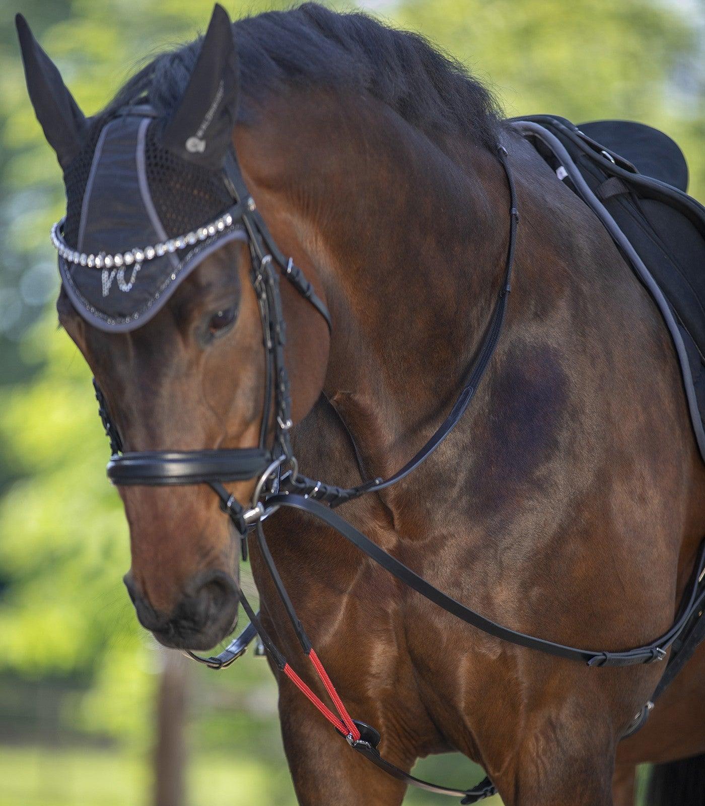 Waldhausen Draw Reins W-trainRein - animondo.dk