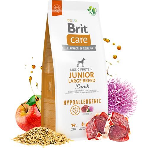 BRIT CARE DOG HYPOALLERGENIC JUNIOR TIL STORE HUNDE (LAM) - animondo.dk