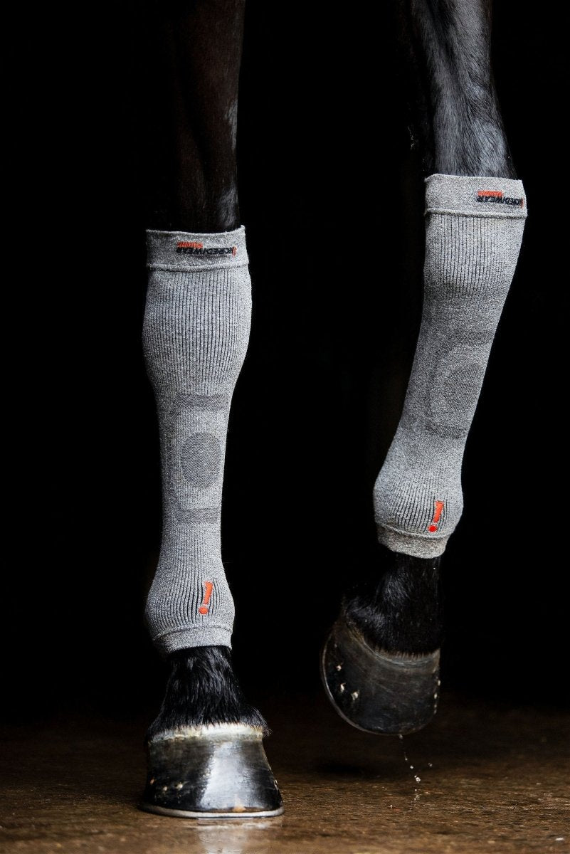 Circulation Hoof Sock Pair - animondo.dk - ES101