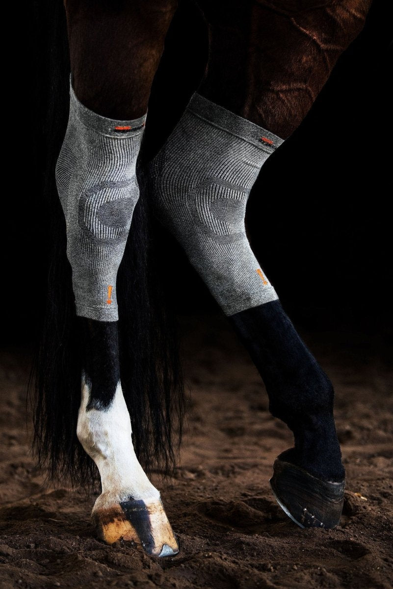 Circulation Hoof Sock Pair - animondo.dk - ES101