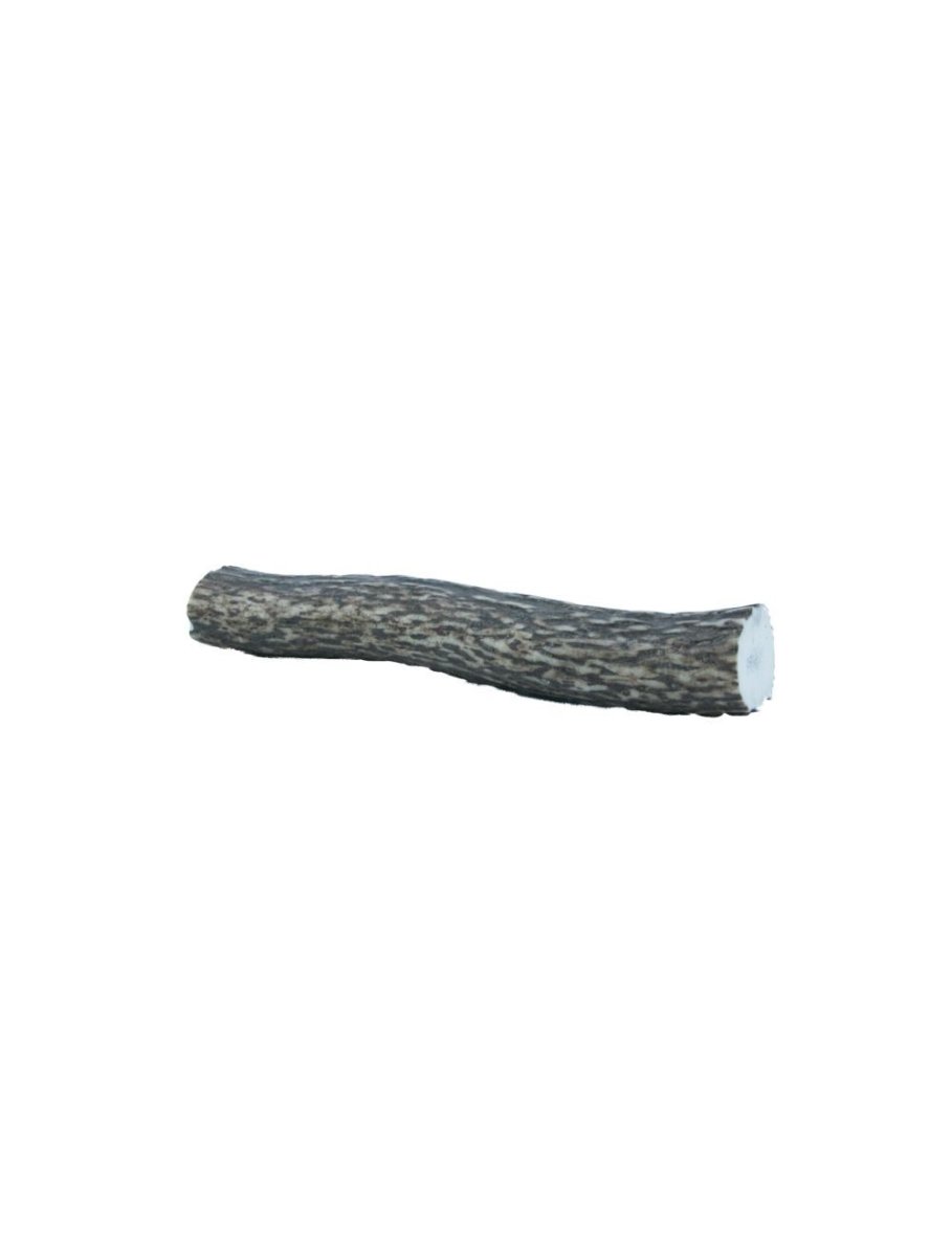 Deer Antler Medium 75-100g - animondo.dk