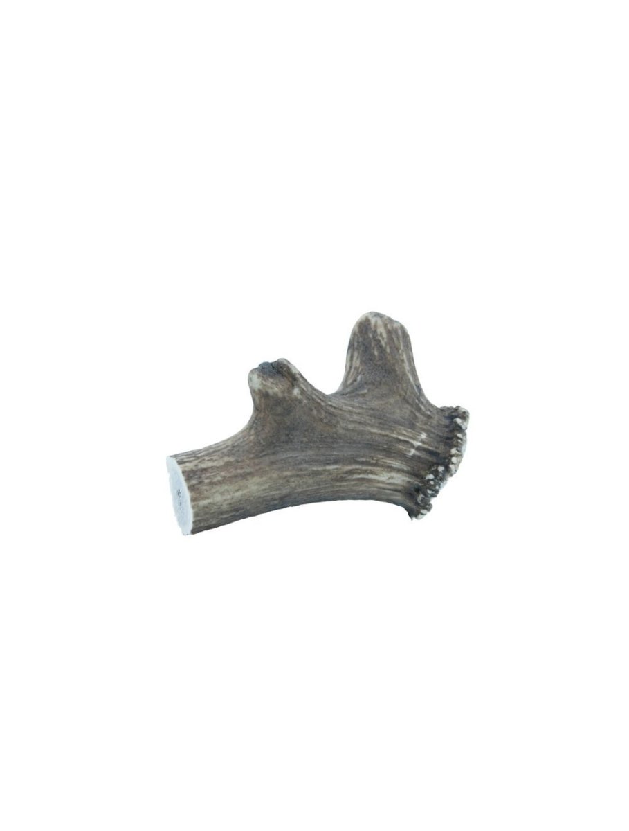 Deer Antler XXLarge 220-300g - animondo.dk