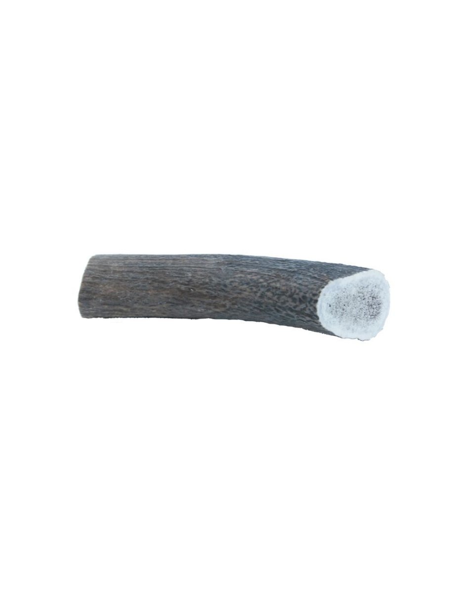 Deer Antler XXLarge 220-300g - animondo.dk