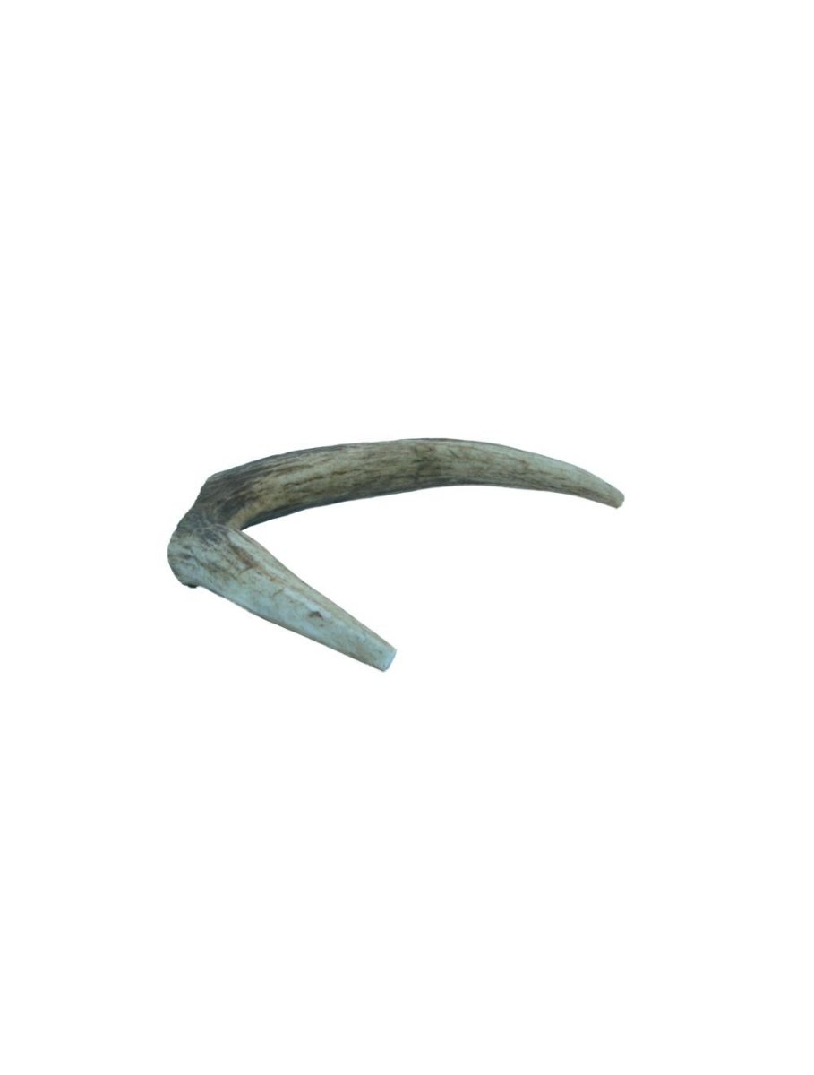 Deer Antlers Small 50-75g - animondo.dk