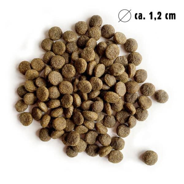 Eat Small BALANCE - Tørfoder for aktive hunde - Lavet af insektprotein - 2 kg - animondo.dk