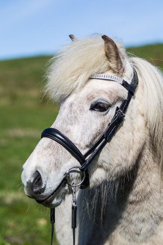 Eques Anatomisk Engelsk Næsebånd - animondo.dk