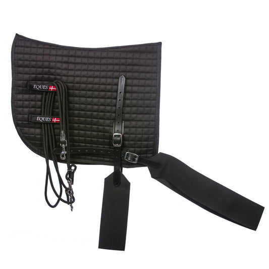 Eques Core Trainer Longesystem - animondo.dk