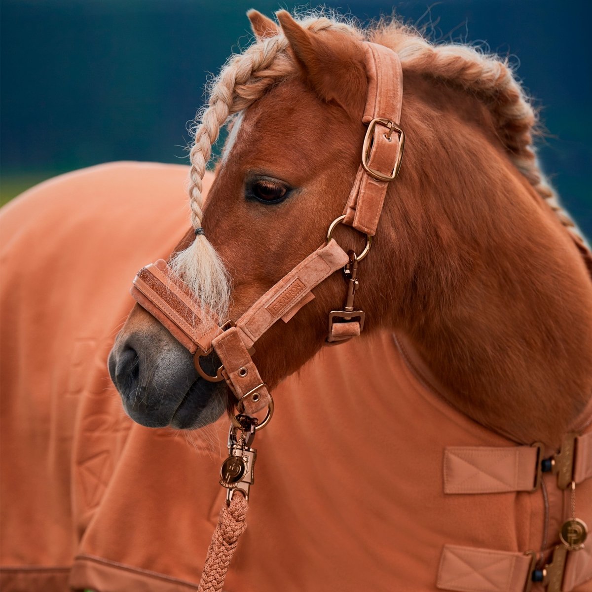 Eskadron Platinum 23 Træktov m. Pistolhage - Cognac - animondo.dk