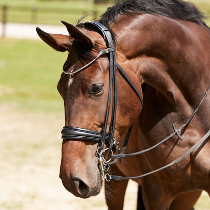Finesse Bridles Cassidy Kandar, rundsyet m. bredt næsebånd - sort/sort/sølv - animondo.dk