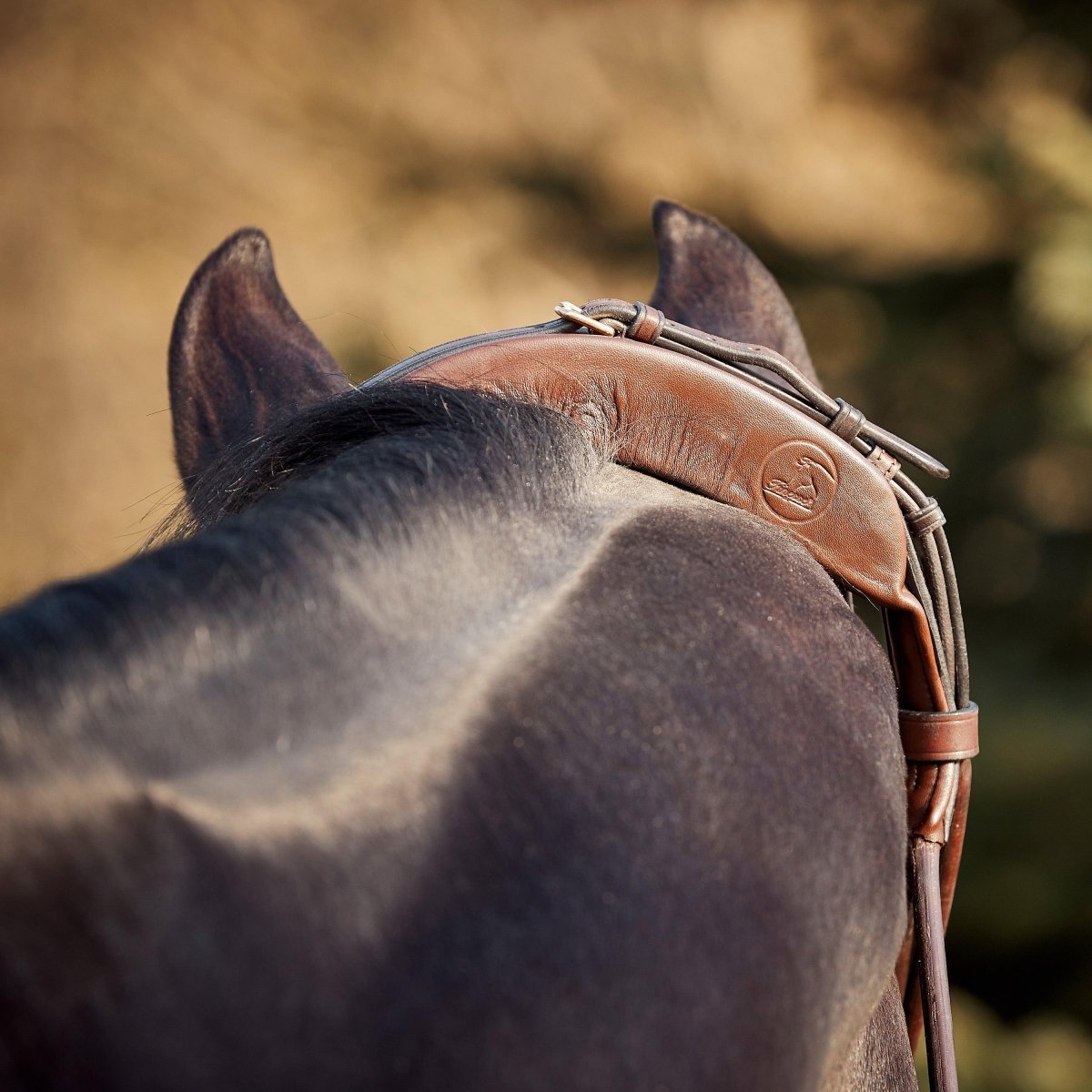 Finesse Bridles Himalaya Trense, rundsyet m. mellembredt næsebånd - brun/brun/guld - animondo.dk