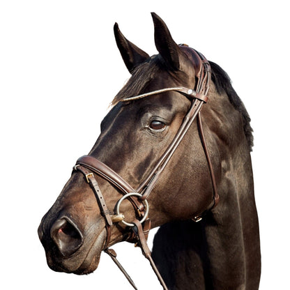 Finesse Bridles Himalaya Trense, rundsyet m. mellembredt næsebånd - brun/brun/guld - animondo.dk