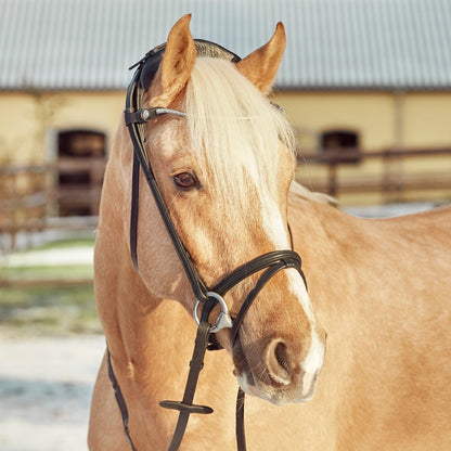 Finesse Bridles Zorro Trense, smalt næsebånd - sort/sort/sølv - animondo.dk