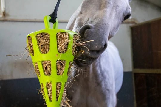 Hay Slowfeeder fun and flex 22 cm Green carrot - animondo.dk