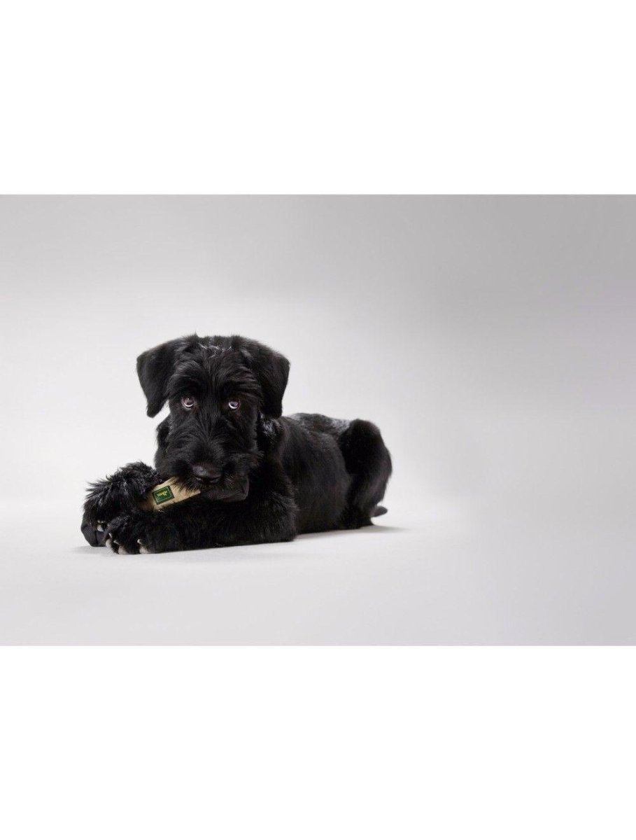 Hunter Snack Dummy - Sort / M - animondo.dk
