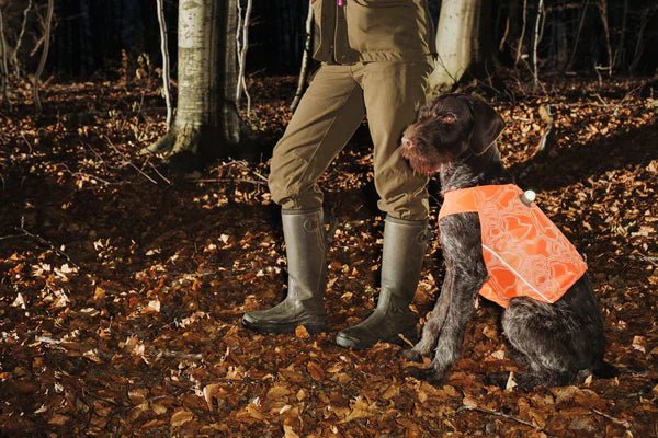 Hurtta Ranger Vest - Orange - animondo.dk