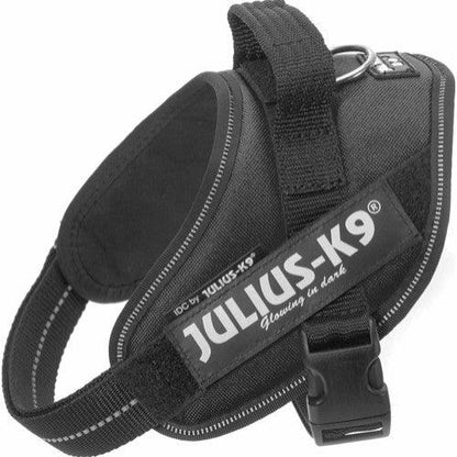 Julius K9 IDC Sele - Sort - animondo.dk