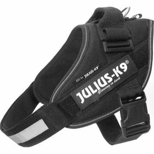 Julius K9 IDC Sele - Sort - animondo.dk