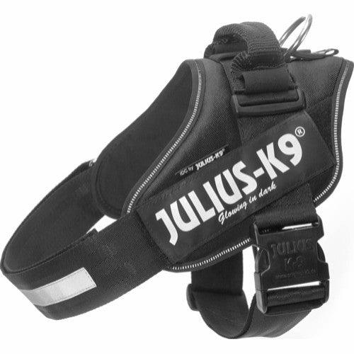 Julius K9 IDC Sele - Sort - animondo.dk