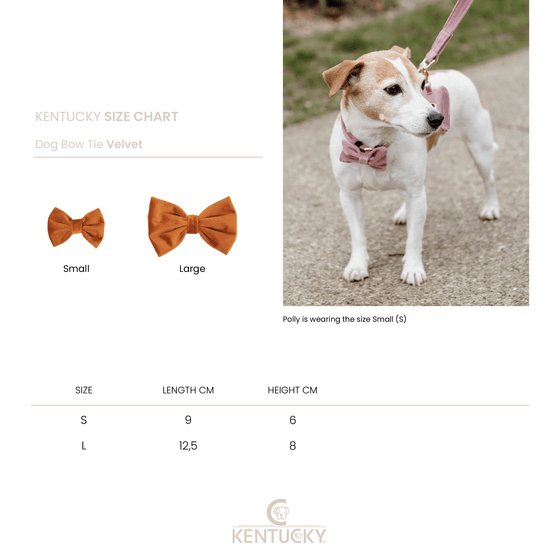 Kentucky Bow Tie Velvet Mustard - animondo.dk