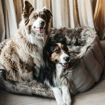 Kentucky Dog Bed Cave - animondo.dk