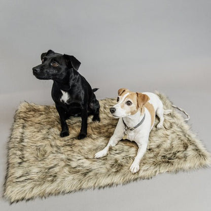 Kentucky Dog Bed to go blanket FUZZY - animondo.dk