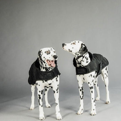 Kentucky Dog Coat original Sort/Sort - animondo.dk