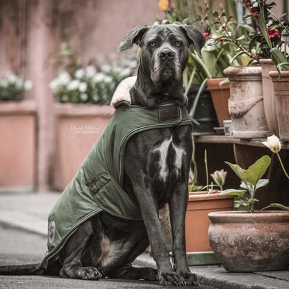 Kentucky Dog Coat Waterproof - Olivengrøn - animondo.dk