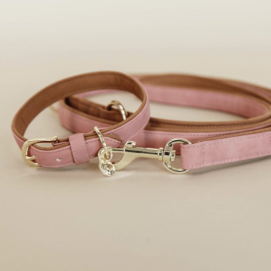 Kentucky Dog Collar Vegan Leather - Fersken/Brun - animondo.dk