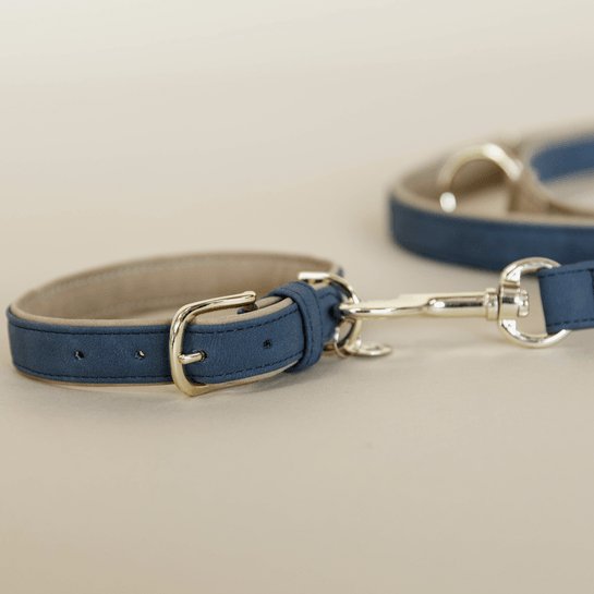 Kentucky Dog Collar Vegan Leather - Navy/Beige - animondo.dk