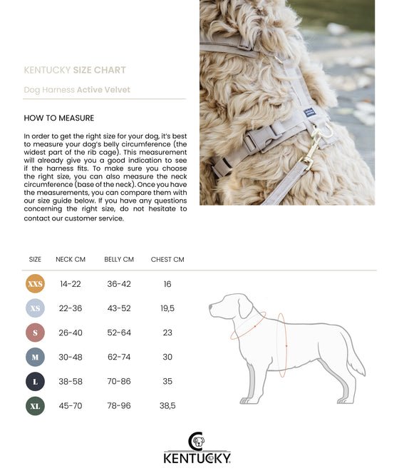 Kentucky Dog Harness Active Velvet - Sort - animondo.dk