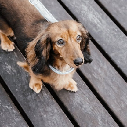 Kentucky Dog Lead Wool - Lyseblå - 2m - animondo.dk