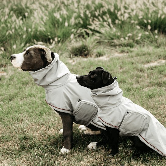 Kentucky Dog Rain Coat - Støvet Blå - animondo.dk