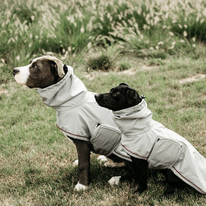 Kentucky Dog Rain Coat - Støvet Blå - animondo.dk