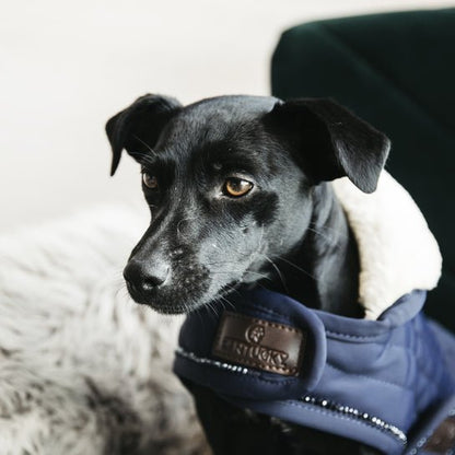 Kentucky Dog Rug - Navy Pearls - animondo.dk