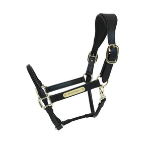 Kentucky Horsewear Anatomisk Grime i imiteret læder - Sort - animondo.dk
