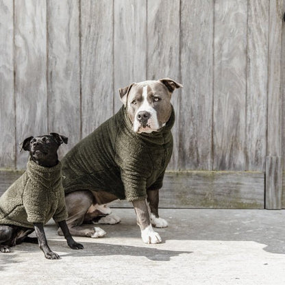 Kentucky Hundesweater Teddy Fleece - Pine Green - animondo.dk