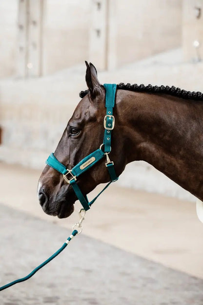 Kentucky Lead rope basic - Emerald - animondo.dk