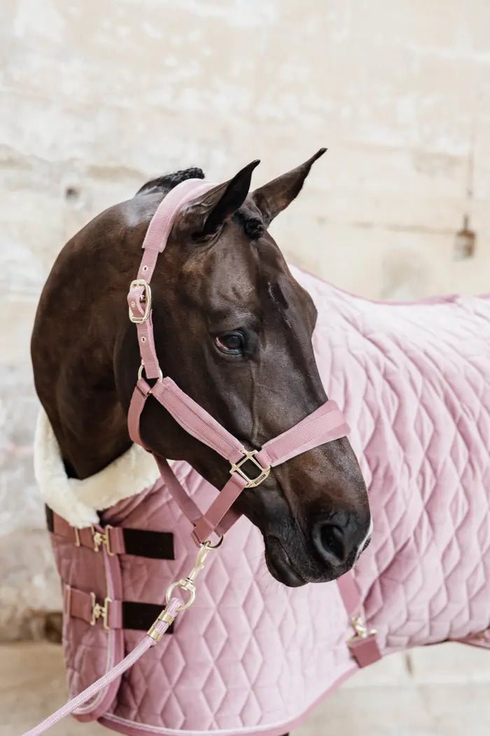 Kentucky Lead rope basic - Old rose - animondo.dk